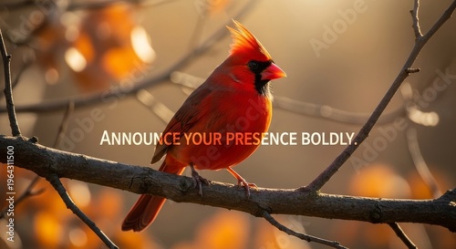 Vibrant Red Cardinal Perched on Branch in Sunlight