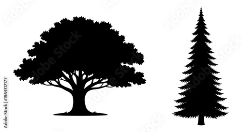 Black tree silhouettes of oak and pine, deciduous and coniferous tree vector set, isolated forest plant icons on white background