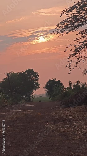 Sunrise Over Rural Landscape in Thepharak, Nakhon Ratchasima, Thailand