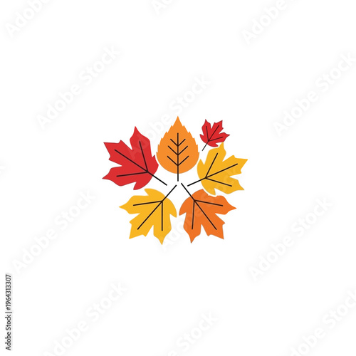 Autumn Leaves Arrangement in a Star Shape.