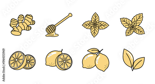 Collection of ingredients for healthy drinks and remedies like ginger, lemon, honey, and mint