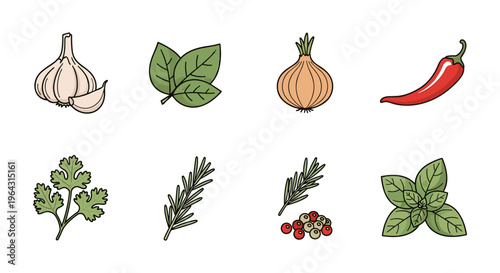 Collection of fresh herbs and spices for cooking and seasoning food