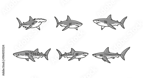 Collection of six different shark species illustrated in a simple cartoon style