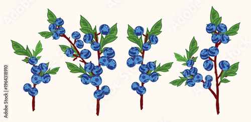 Ripe Blueberry Branches Set with Leaves and Berries