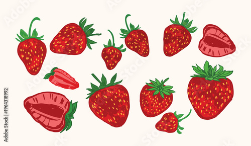 Ripe Strawberry Collection with Whole and Sliced Berries Illustration