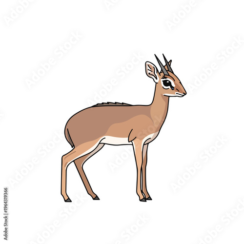 Brown Antelope Standing Isolated on White Background