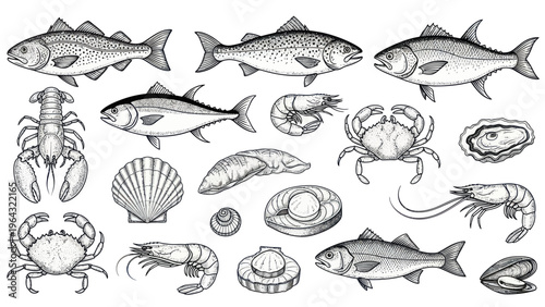 Collection of Seafood and Fish Illustrations.