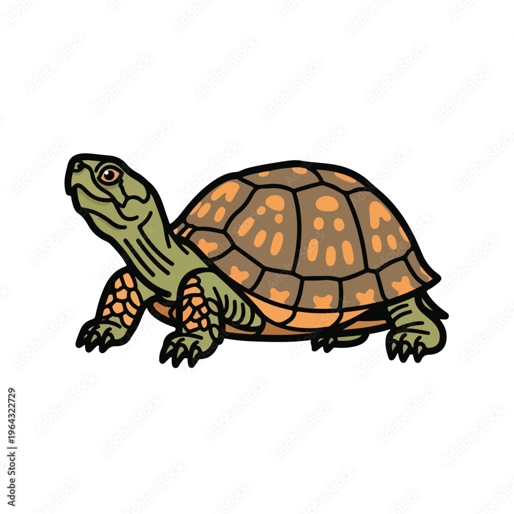 Obraz premium Turtle walking on white background with brown and orange shell