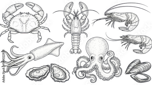 Collection of Seafood Illustrations in Black and White.