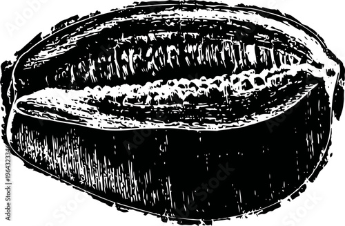 Cocoa pod with open shell showing cacao beans inside vintage botanical engraving detailed illustration