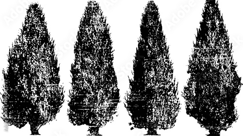 Four black silhouette cypress trees in varying shapes and textures isolated on white background