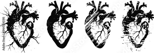 Detailed artistic black and white anatomical heart illustrations with veins and arteries
