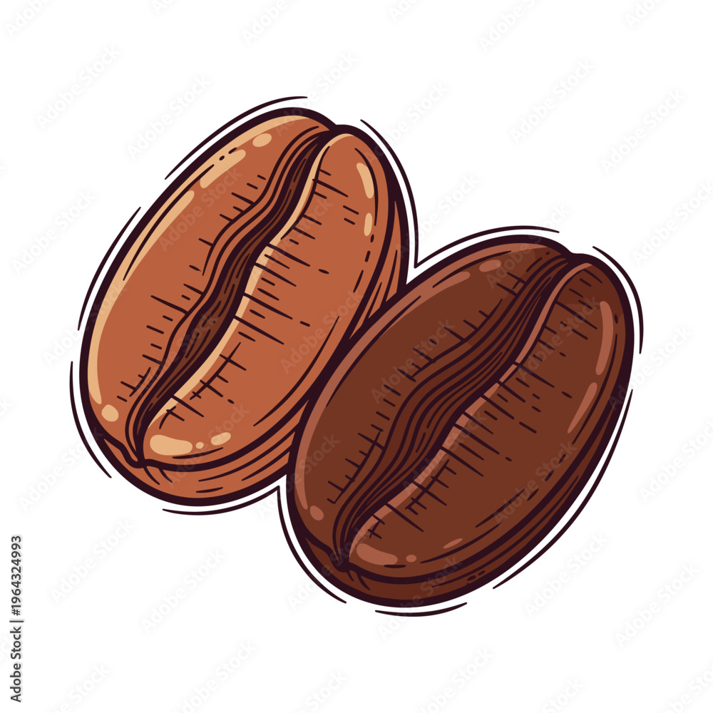 Obraz premium Two Roasted Coffee Beans Illustration - Isolated on White Background
