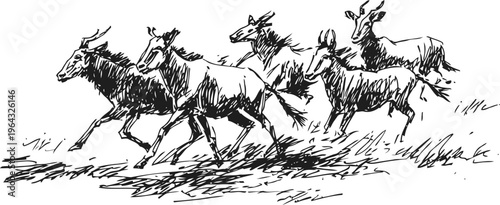 Wild antelope herd running across the grassland in energetic motion