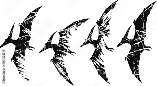 grunge pterodactyl silhouettes in flight prehistoric flying reptiles with textured distressed design