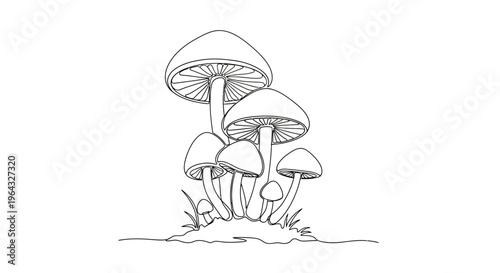 Mushroom cluster drawing, line art, white background, botanical illustration