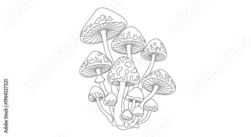Outline Drawing of a Cluster of Mushrooms, Fungi Illustration, Botanical Art