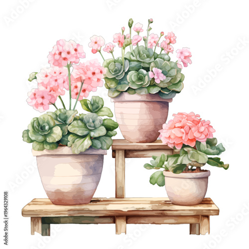 Watercolor Pink Geraniums in Terracotta Pots on Rustic Garden Shelf Clipart
