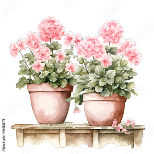 Watercolor Pink Geraniums in Terracotta Pots on Rustic Garden Shelf Clipart