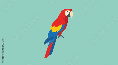 Vibrant flat illustration of a red, yellow, and blue macaw parrot perched against a simple teal background.