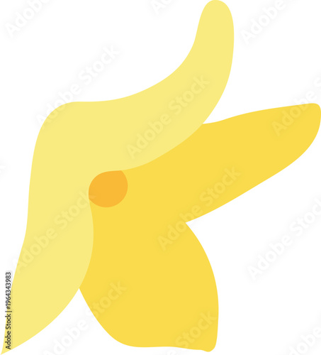 개나리꽃송이03_선x_개나리꽃_꽃나무_봄_봄꽃_입춘