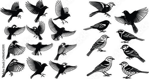 Bird Silhouette Vector Collection Featuring Flying and Perching Small Birds with Detailed Feathers for Wildlife, Nature, and Ornithology Design Projects