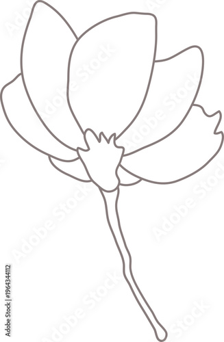 목련한송이01_선화_꽃나무_봄_봄꽃_입춘