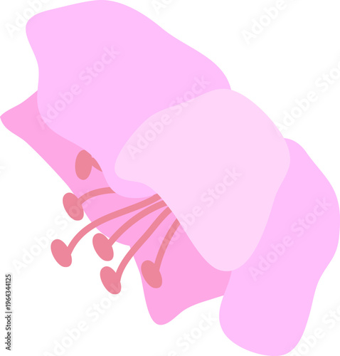 진달래꽃송이02_선x_철쭉_진달래_꽃나무_봄_봄꽃_입춘