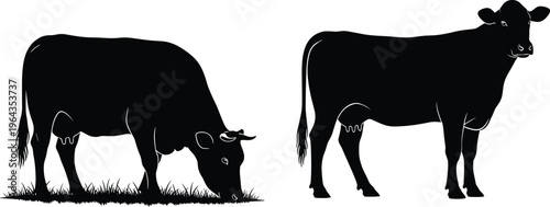 Black silhouette vector illustration of grazing and standing cows on grass, farm animal posture collection for agriculture design