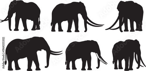 Solid Black Big Tusker Elephant Ivory Shapes