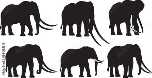 Solid Black Big Tusker Elephant Ivory Shapes