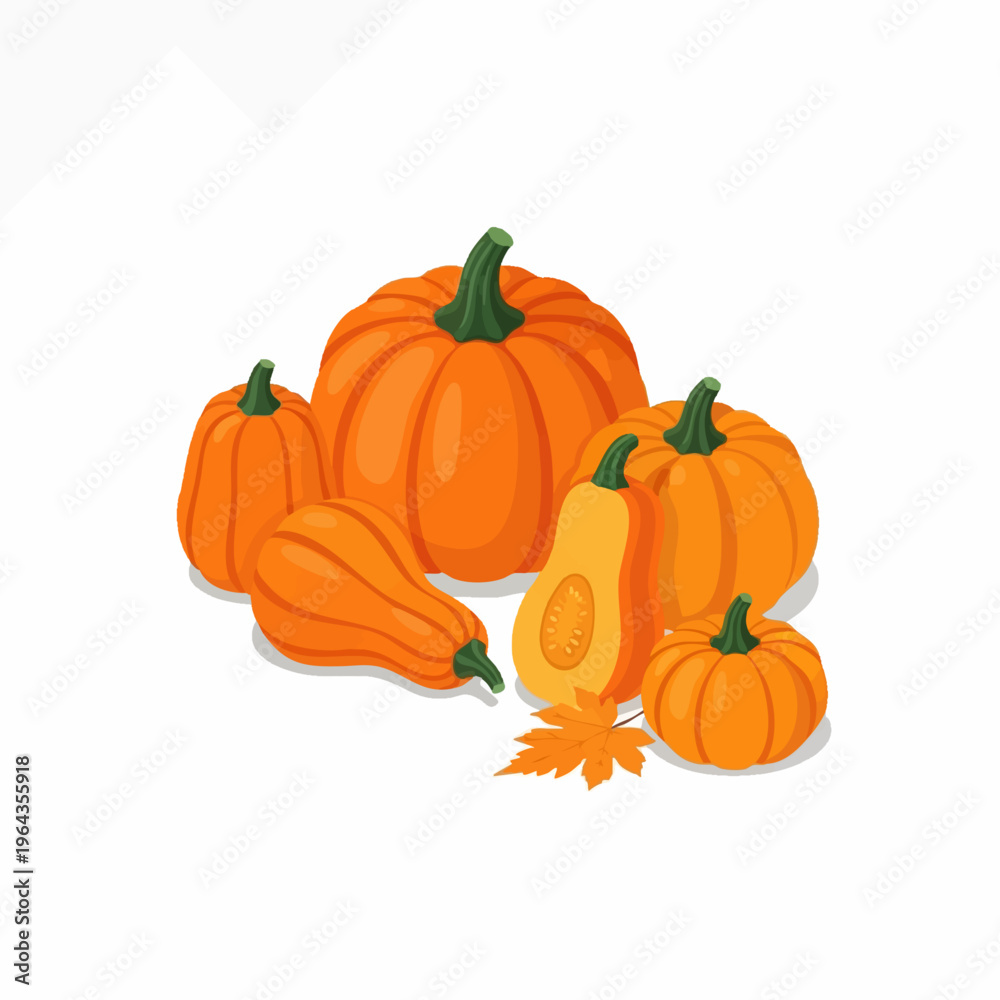 Obraz premium Autumn pumpkins and gourds vector illustration on white.