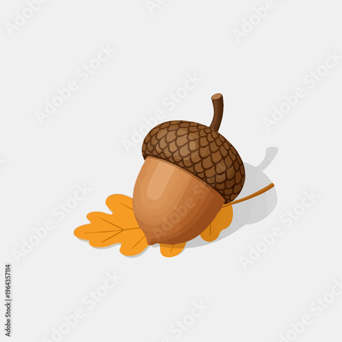 Acorn with oak leaf on light background illustration.