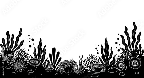 Black and white coral reef scene.