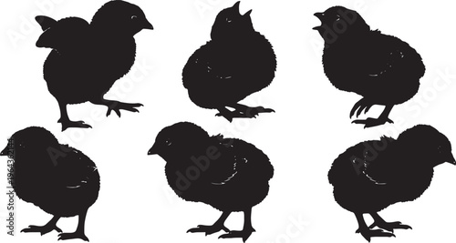 Black Solid Baby Chick Silhouettes Set of Six on White Background