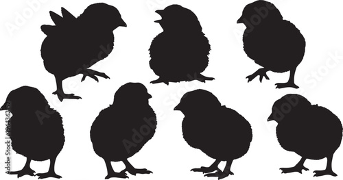 Black Solid Baby Chick Silhouettes Set of Six on White Background