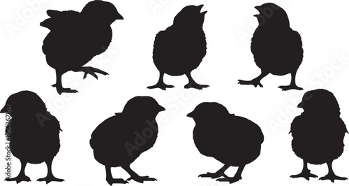Black Solid Baby Chick Silhouettes Set of Six on White Background