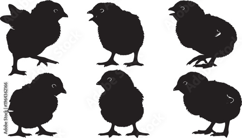 Black Solid Baby Chick Silhouettes Set of Six on White Background