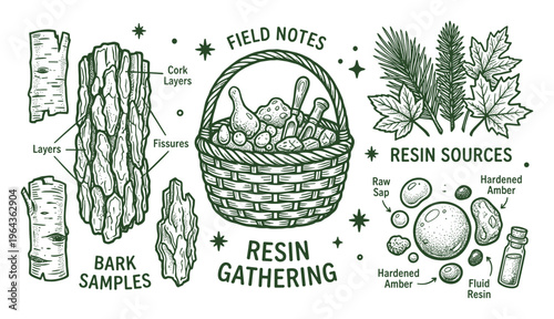 Field notes on resin gathering, bark samples, and resin sources with raw sap and hardened amber illustrations.