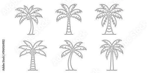 Six varieties of palm trees in a sketch style