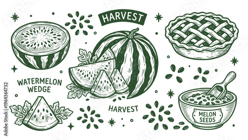 Harvest watermelon, melon seeds bowl, pie vector illustration. Food preparation drawing harvest, seeds, pie and watermelon