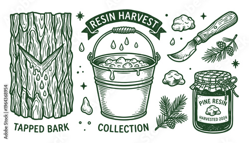 Resin Harvest Illustration Set: Tapped Bark, Collection Bucket, Pine Resin Jar Harvested 2024, Tool, Tree Branch
