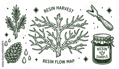 Resin harvest illustration with tree resin flow map, resin sample in jar, harvesting tool, and dripping resin