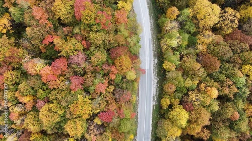 Aerial video of mountain road