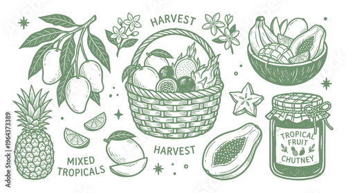 Tropical fruit harvest vector illustration with basket, fruits, jam jar, mixed fruits design