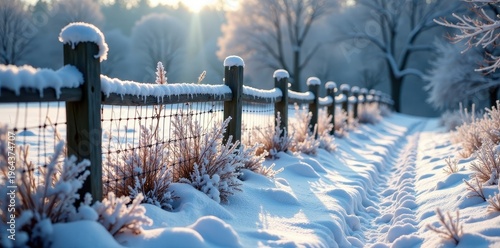 Frozen farm fence and overgrown winter garden, frozen, rural scene