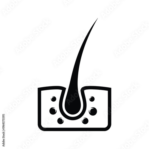 Illustration of vector hair follicle with root and scalp