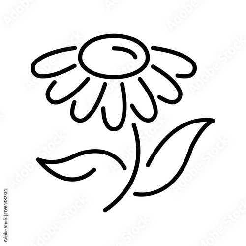 Chamomile flower icon. Nature and herbs line symbol. Black and white.