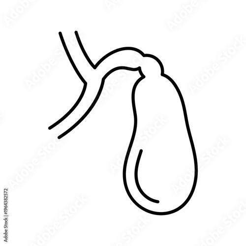 Gallbladder anatomy icon. Healthcare and gastroenterology line symbol. Black and white.