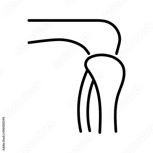 Tendon anatomy icon. Healthcare and musculoskeletal line symbol. Black and white.
